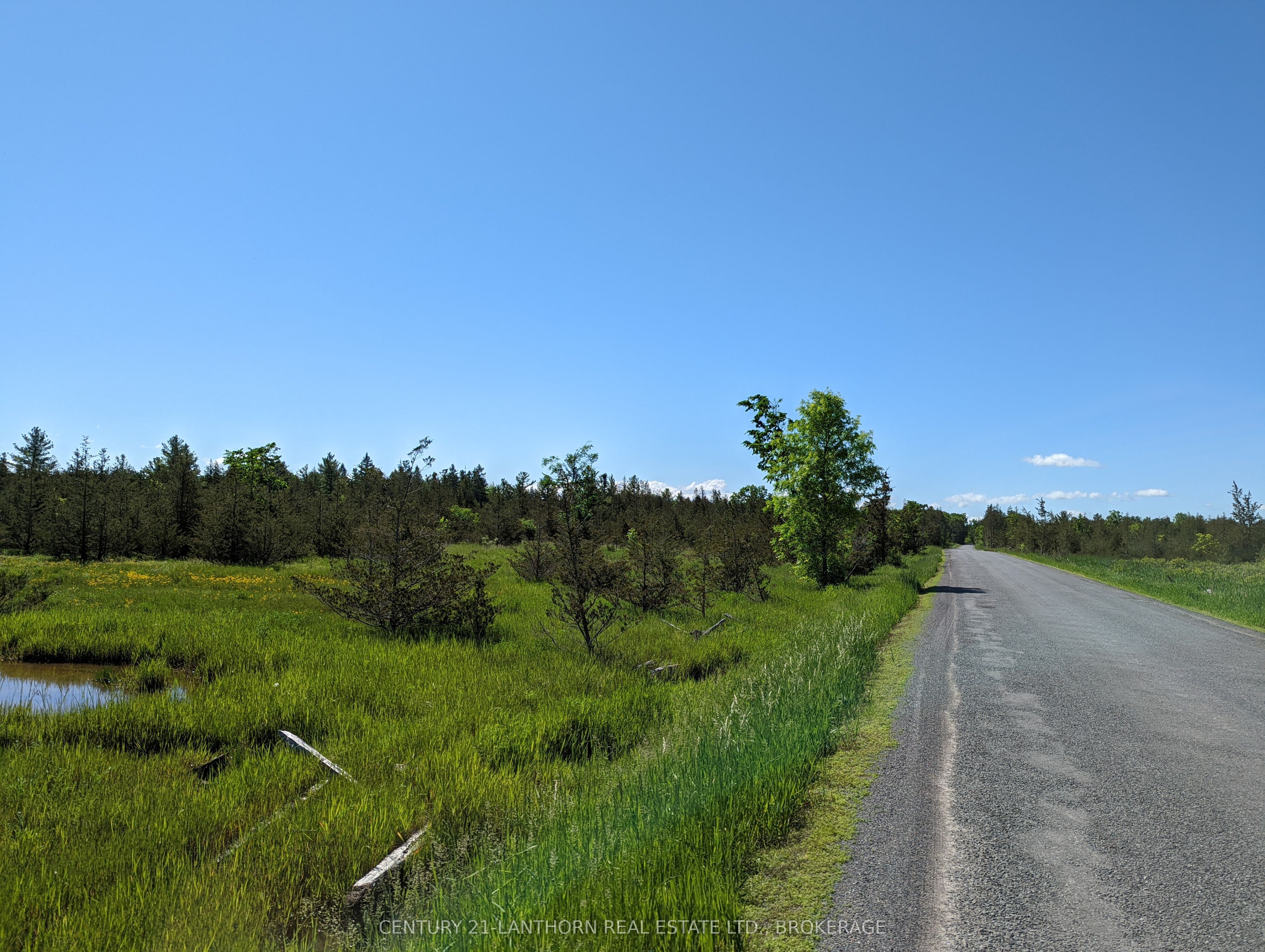 0 Pinegrove Road Property Photo