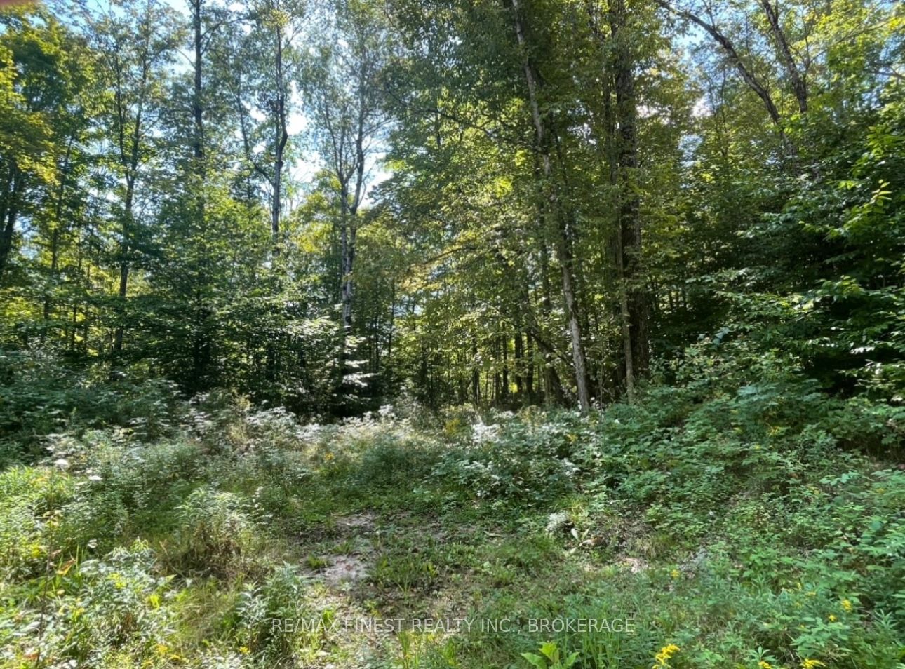 Lot 14 -15 0 Thunder Lane Property Photo