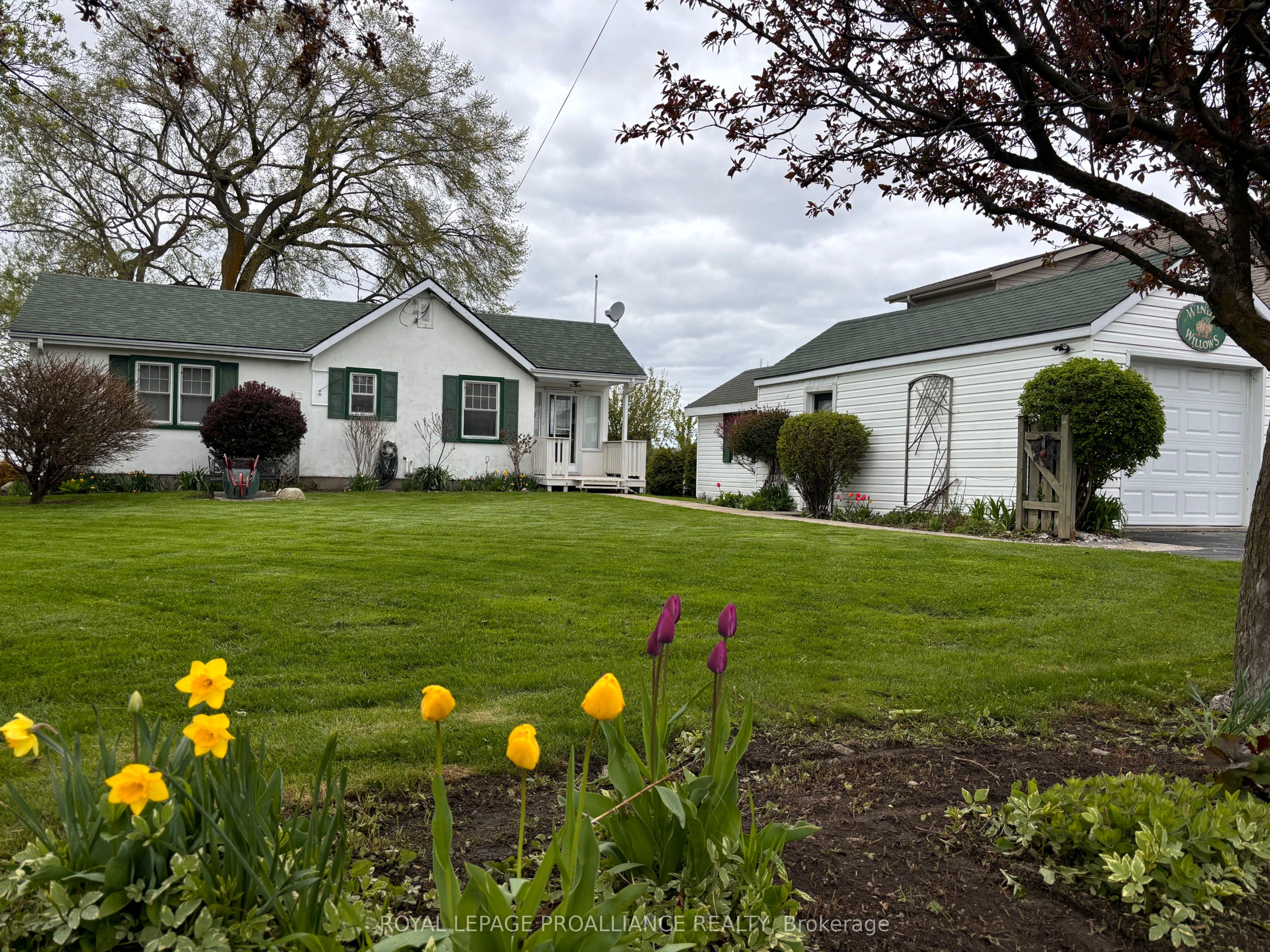 34 Ridley Street Property Photo