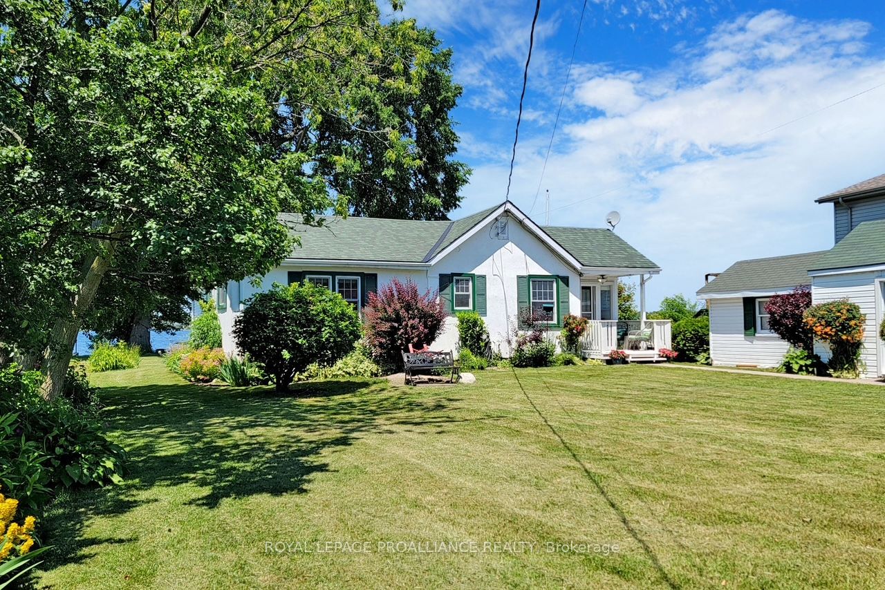 34 Ridley Street Property Photo 4