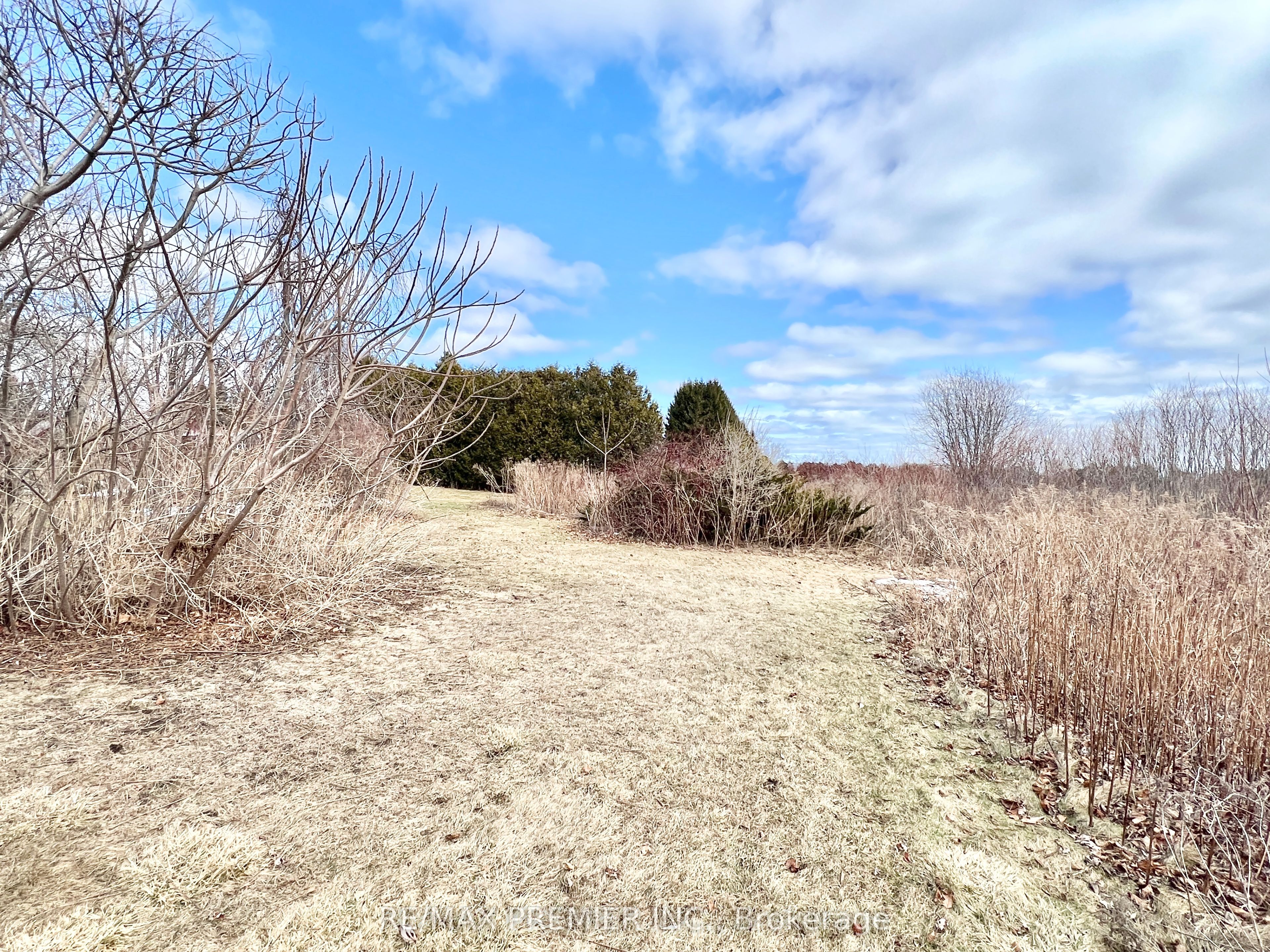 263 Simpson Road Property Photo 23