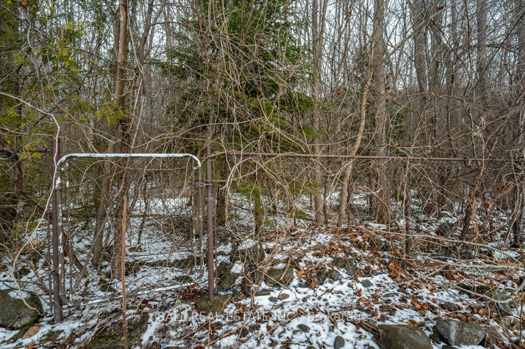 42 Stewart Drive Property Photo 32