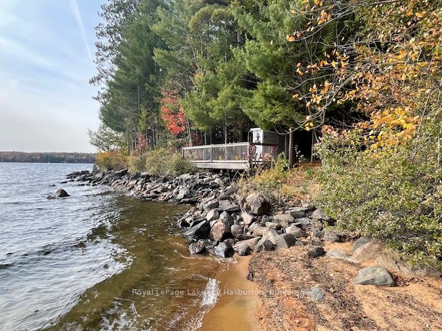 Algonquin Highlands Real Estate Listings Main Image