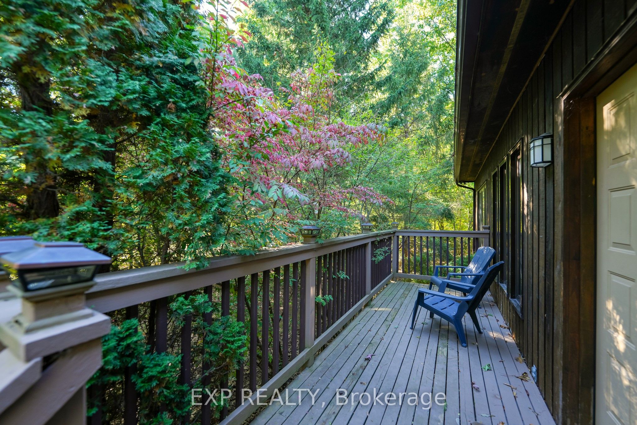 10207 Pinetree Drive Property Photo 3