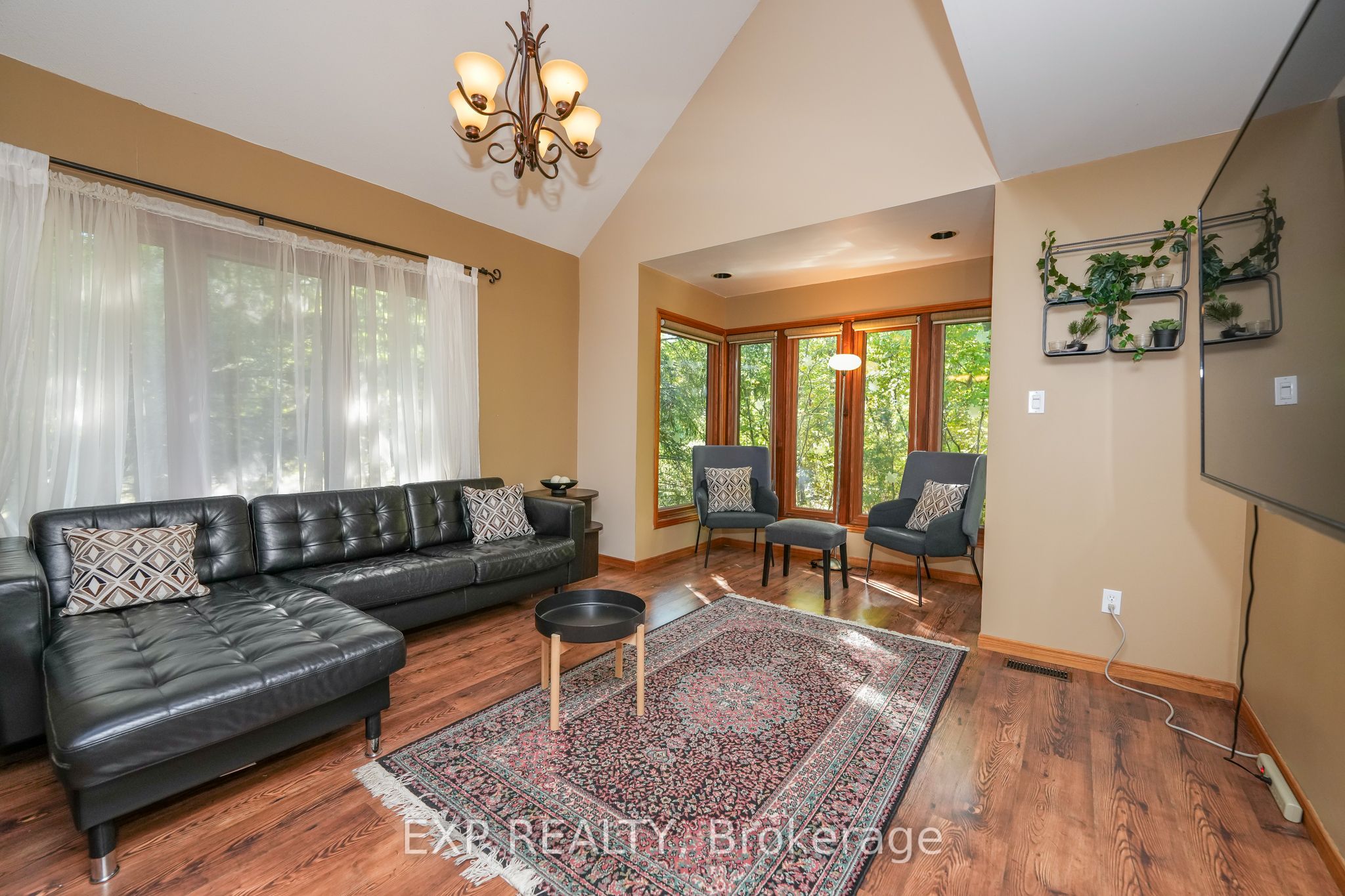 10207 Pinetree Drive Property Photo 14