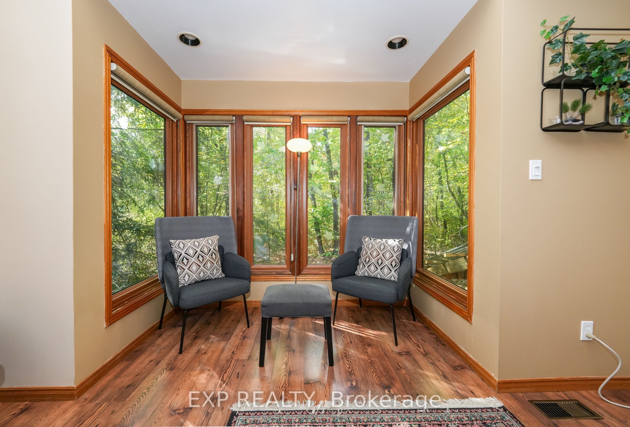 10207 Pinetree Drive Property Photo 15