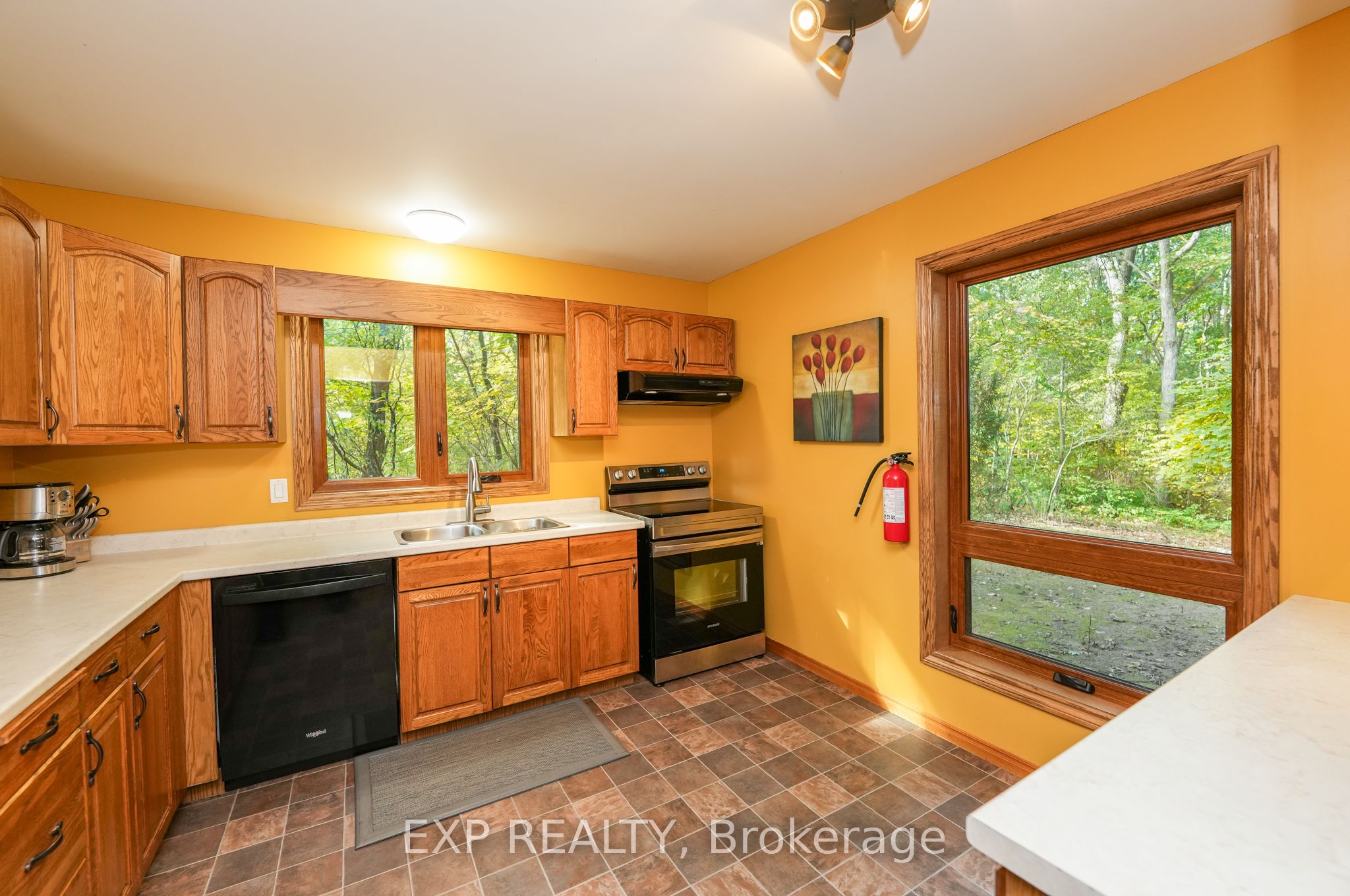 10207 Pinetree Drive Property Photo 17