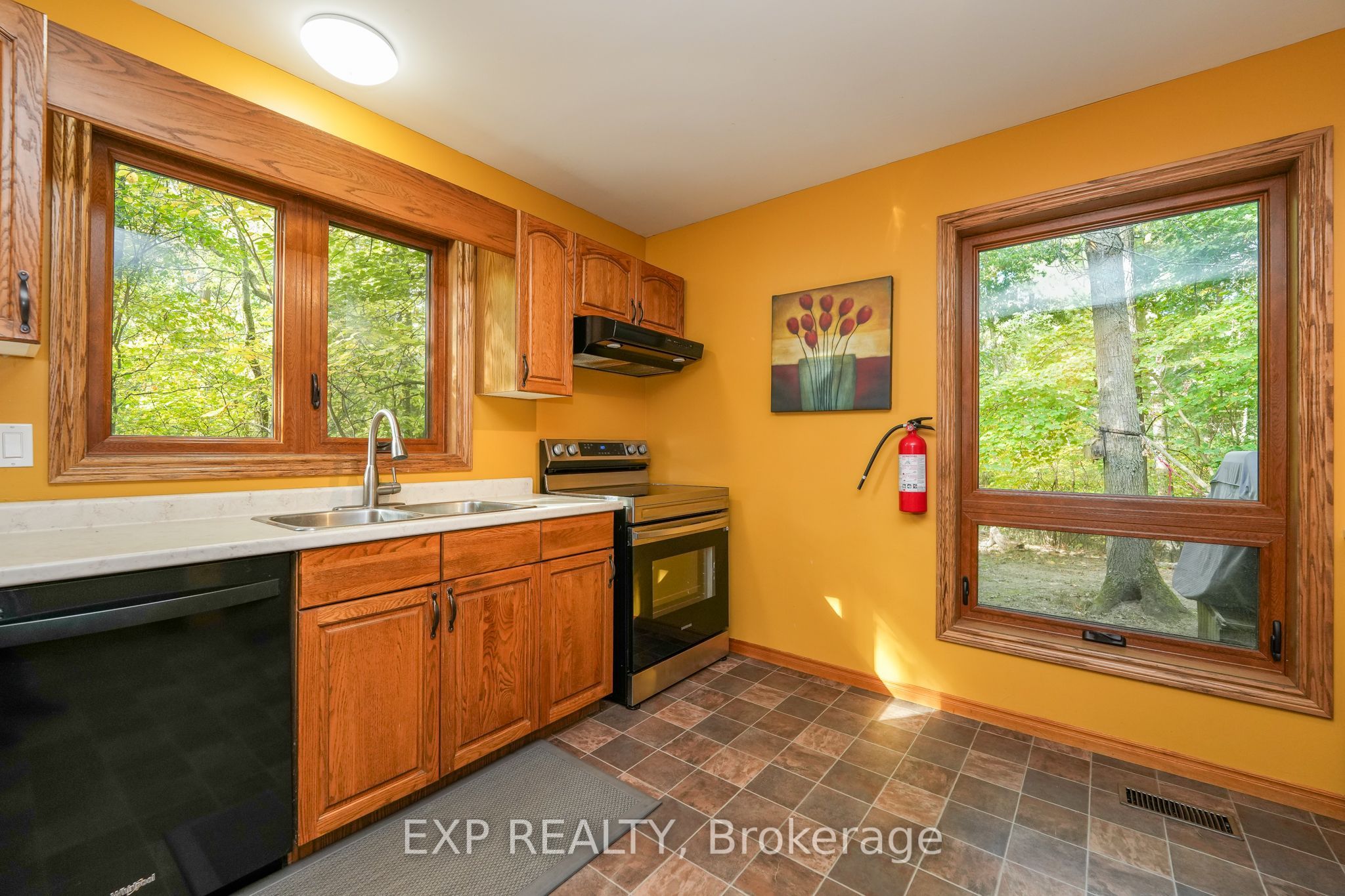 10207 Pinetree Drive Property Photo 18