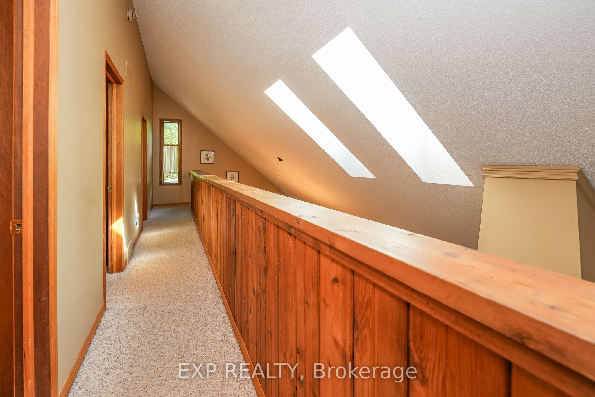 10207 Pinetree Drive Property Photo 33