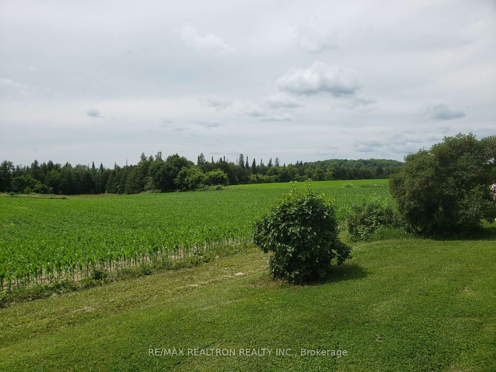 81 Fox Road Property Photo 19