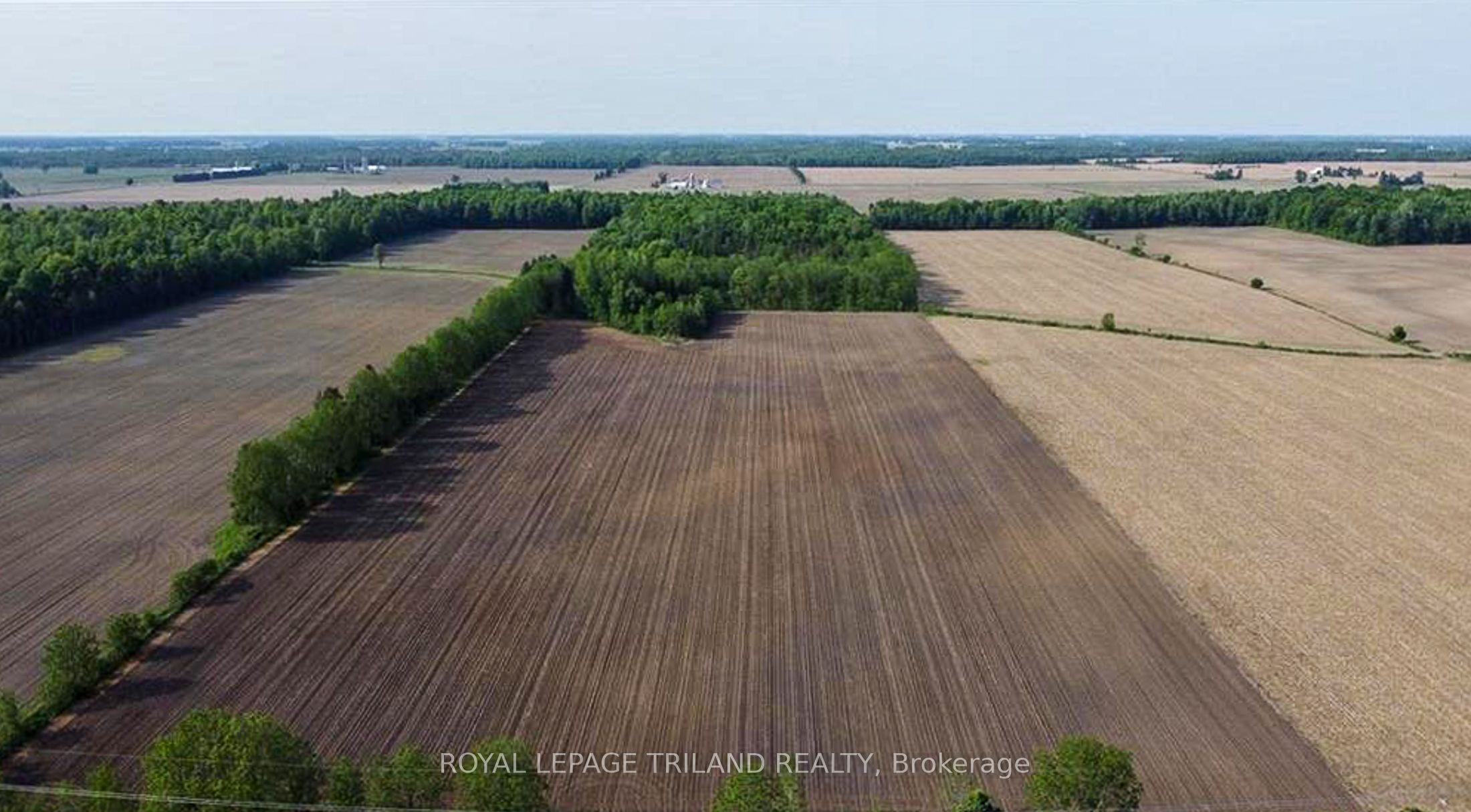 27796 Nairn Road Property Photo 5