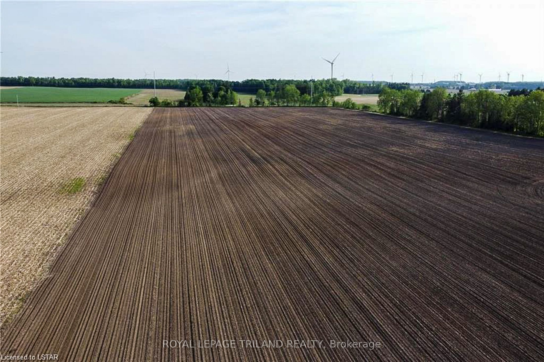 27796 Nairn Road Property Photo 6