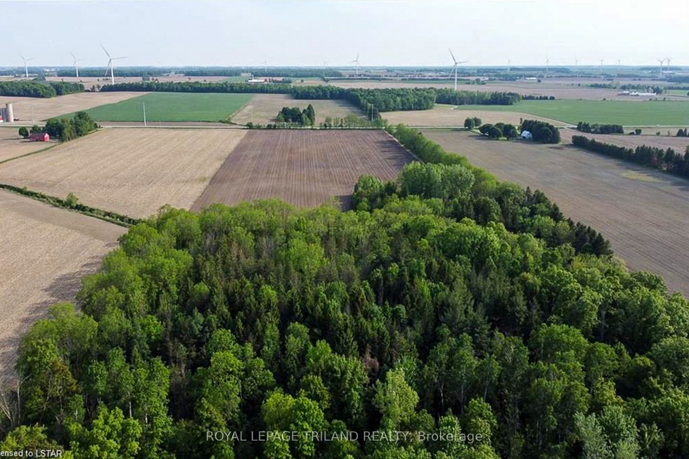 27796 Nairn Road Property Photo 7