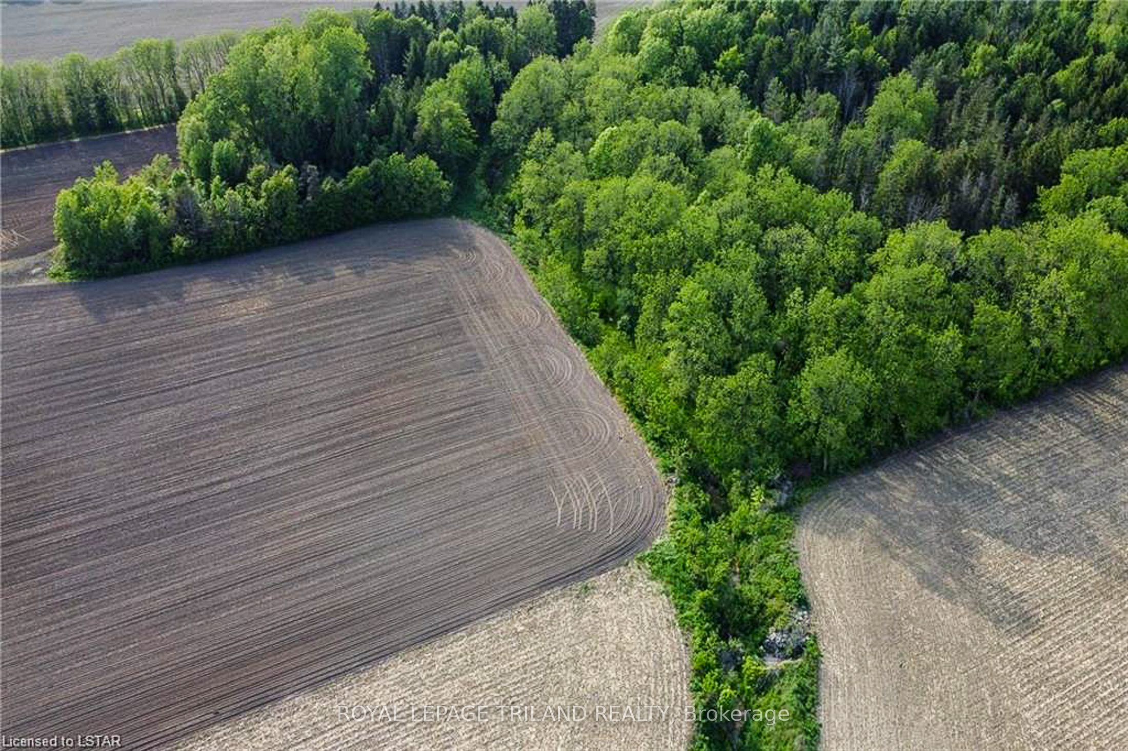 27796 Nairn Road Property Photo 10