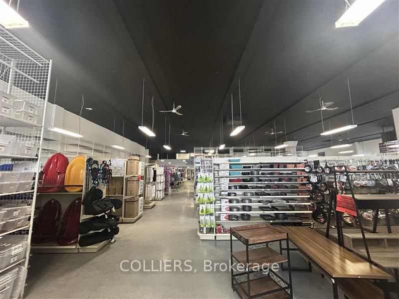 276 Kenilworth Avenue Property Photo 22