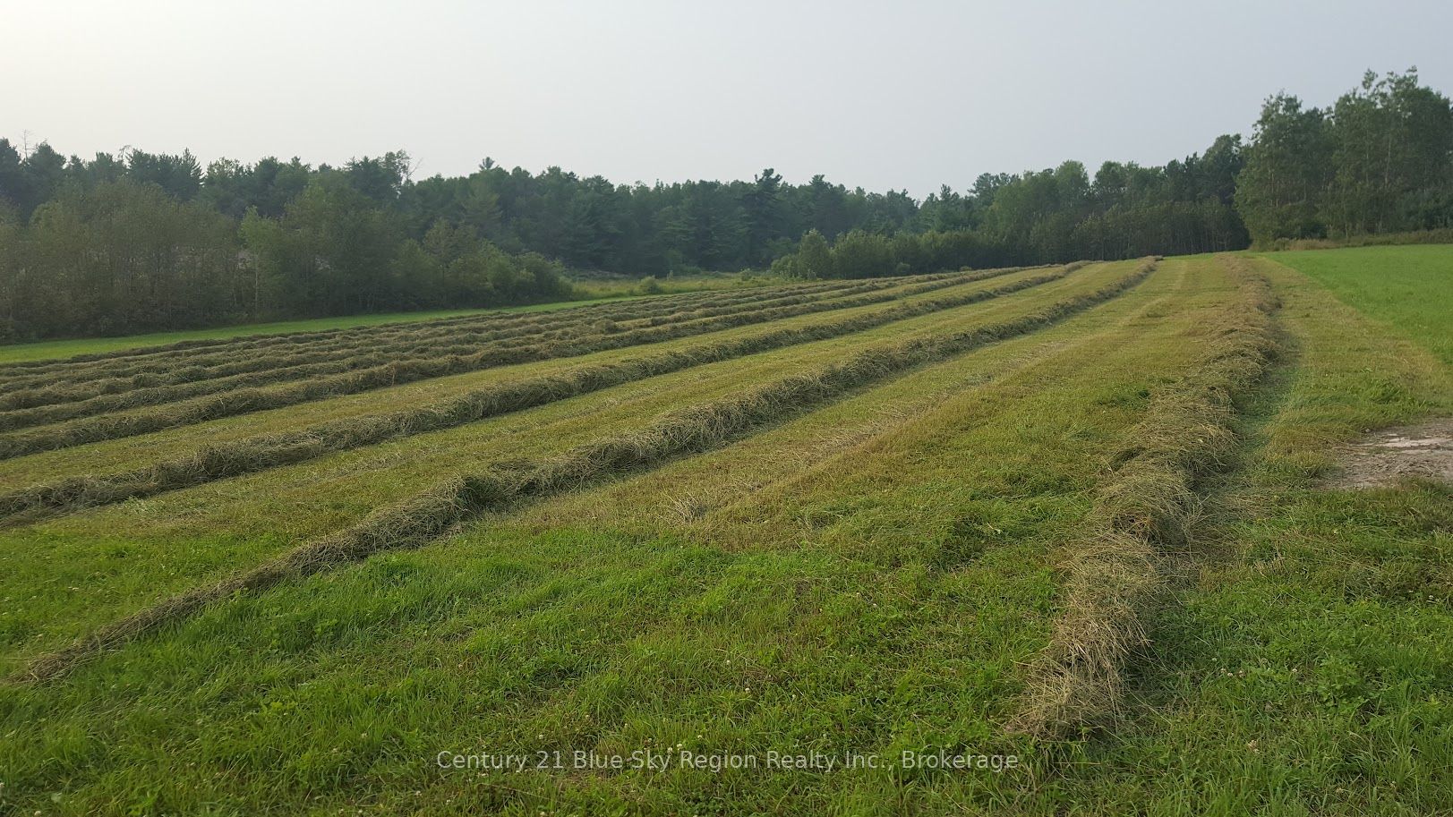 8919 Highway 64 Property Photo 35