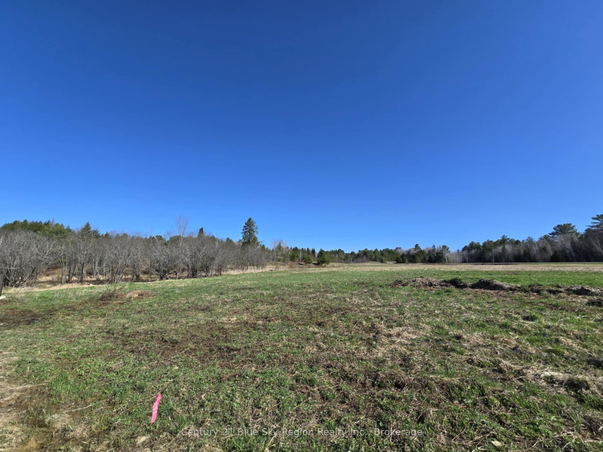 8919 Highway 64 Property Photo 39