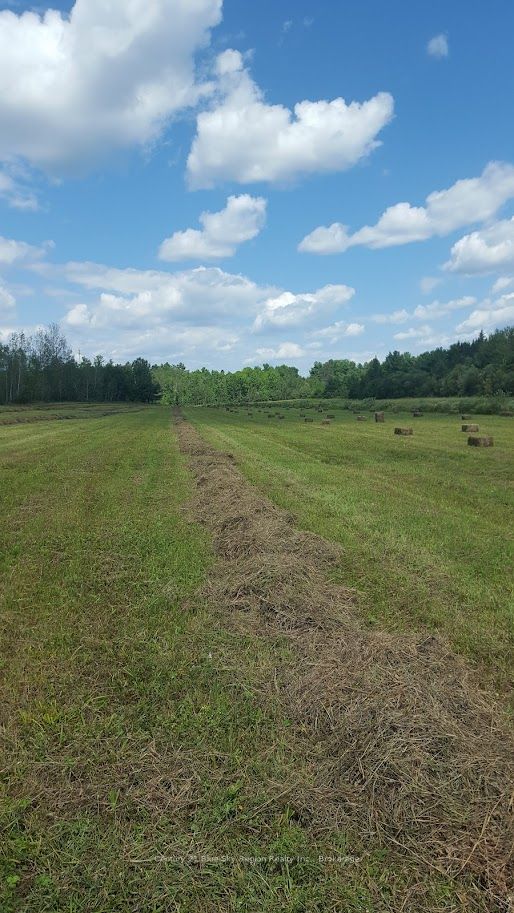 8919 Highway 64 Property Photo 46