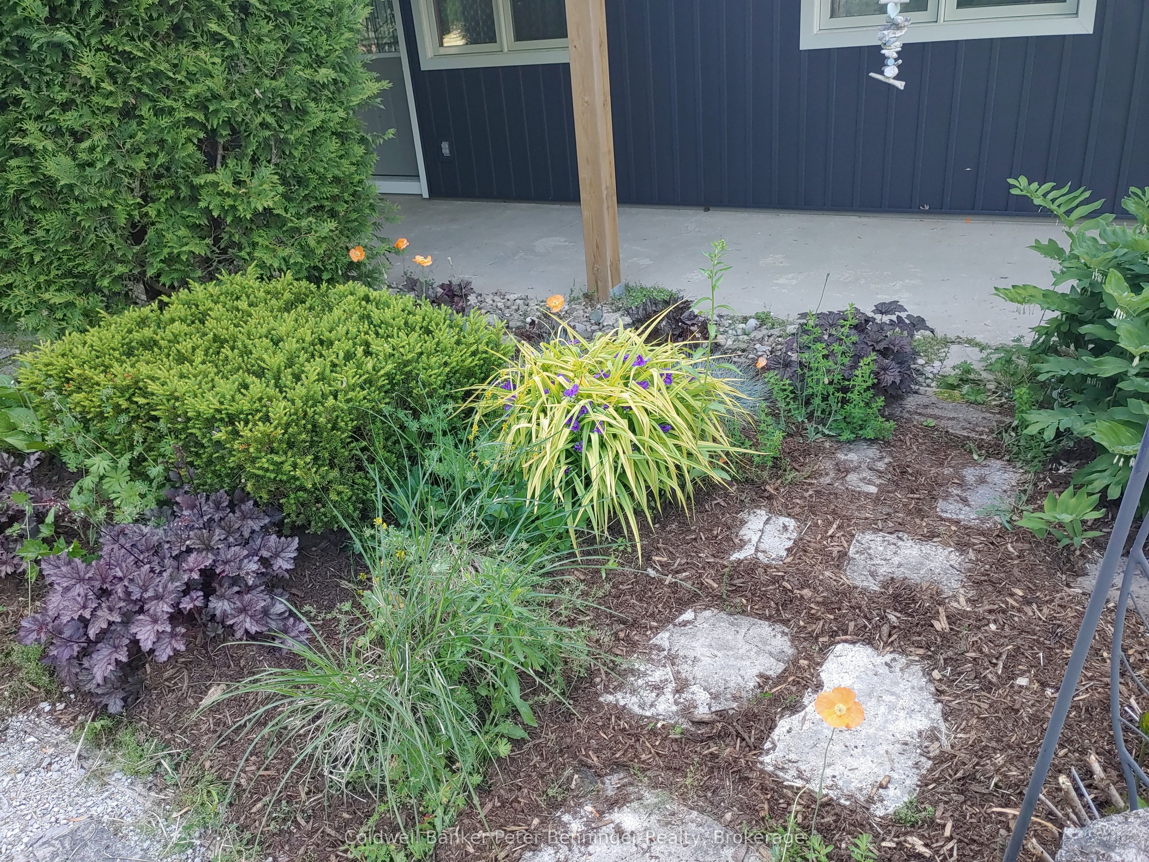 55 Hansen Drive Property Photo 38