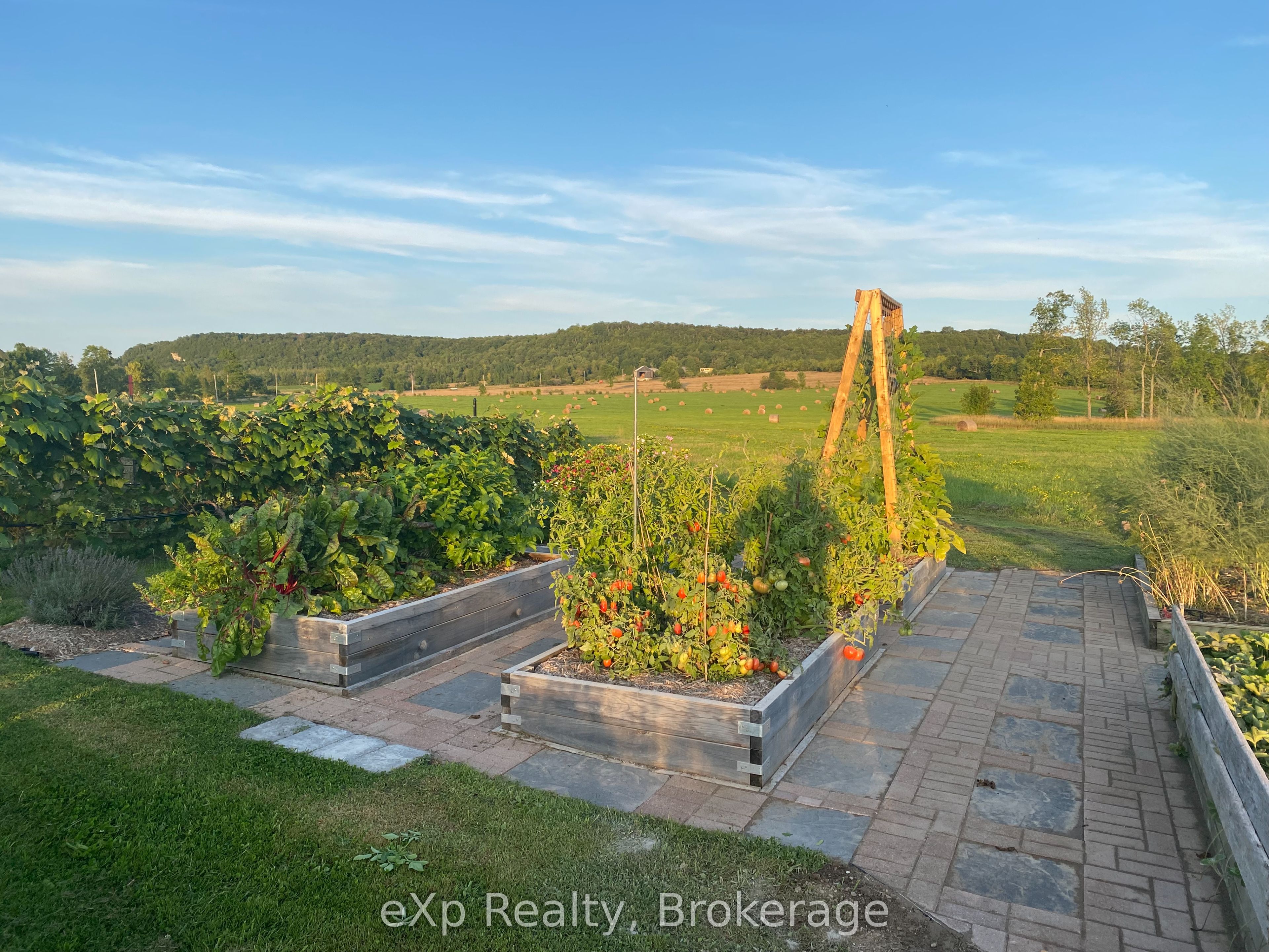 324588 27 Sideroad Property Photo 32