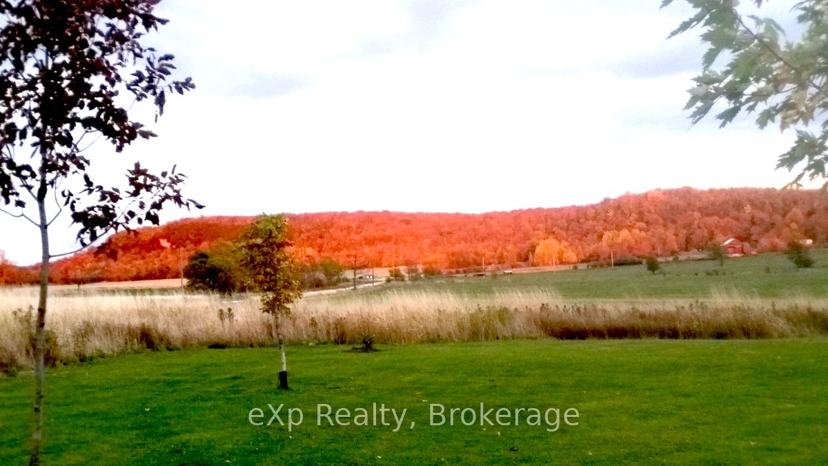 324588 27 Sideroad Property Photo 34