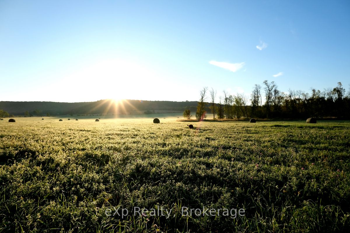 324588 27 Sideroad Property Photo 35