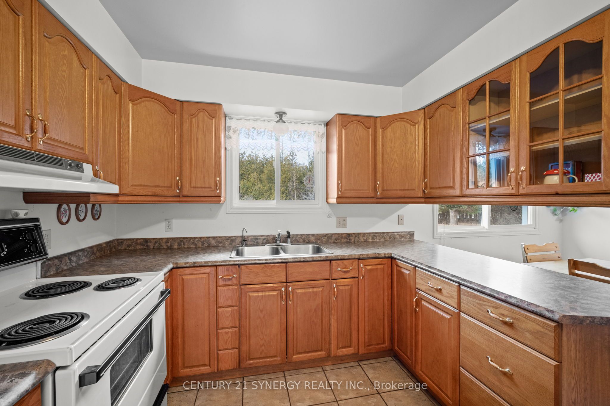 717 Townline Road Property Photo 5