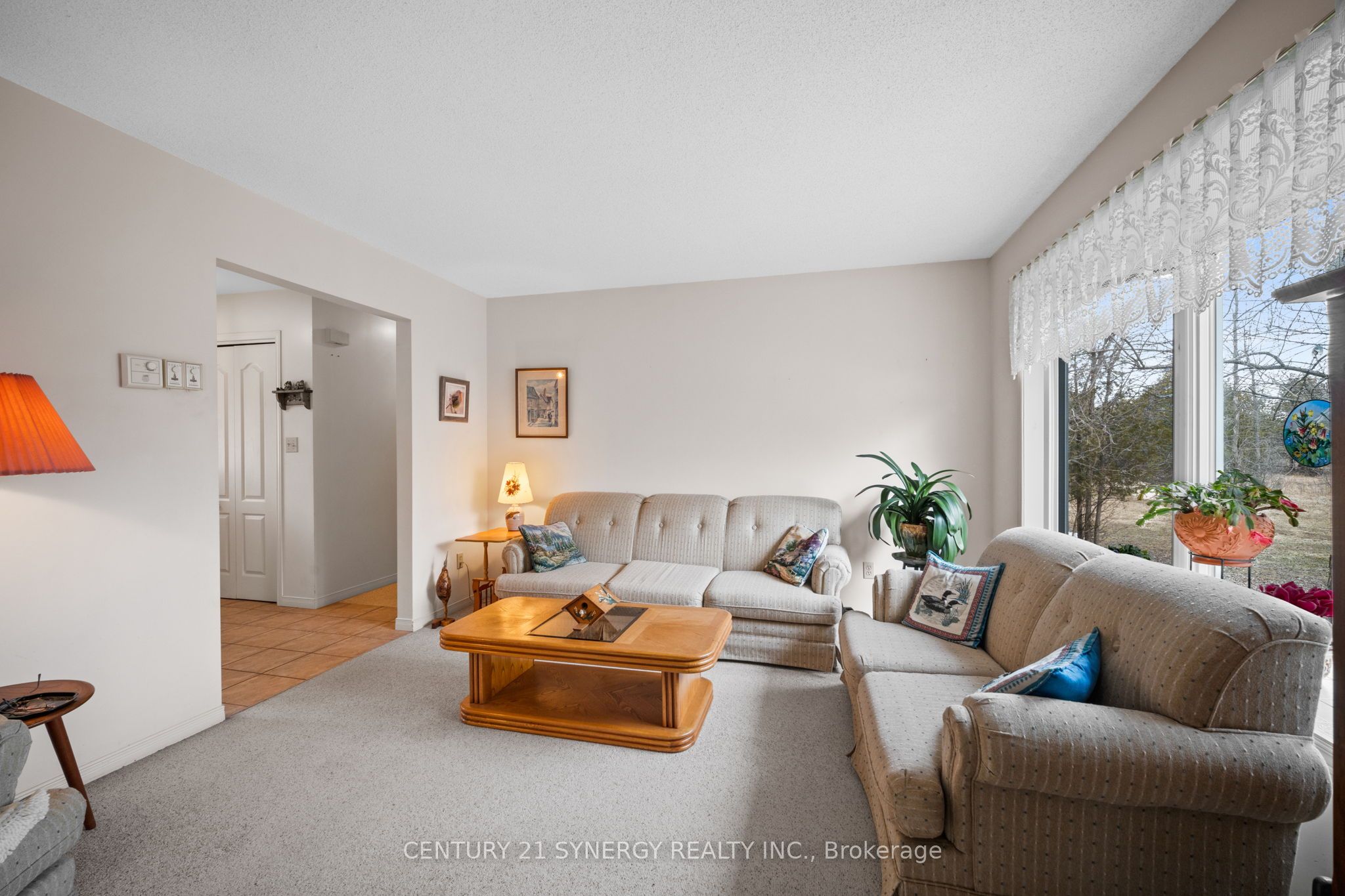 717 Townline Road Property Photo 14