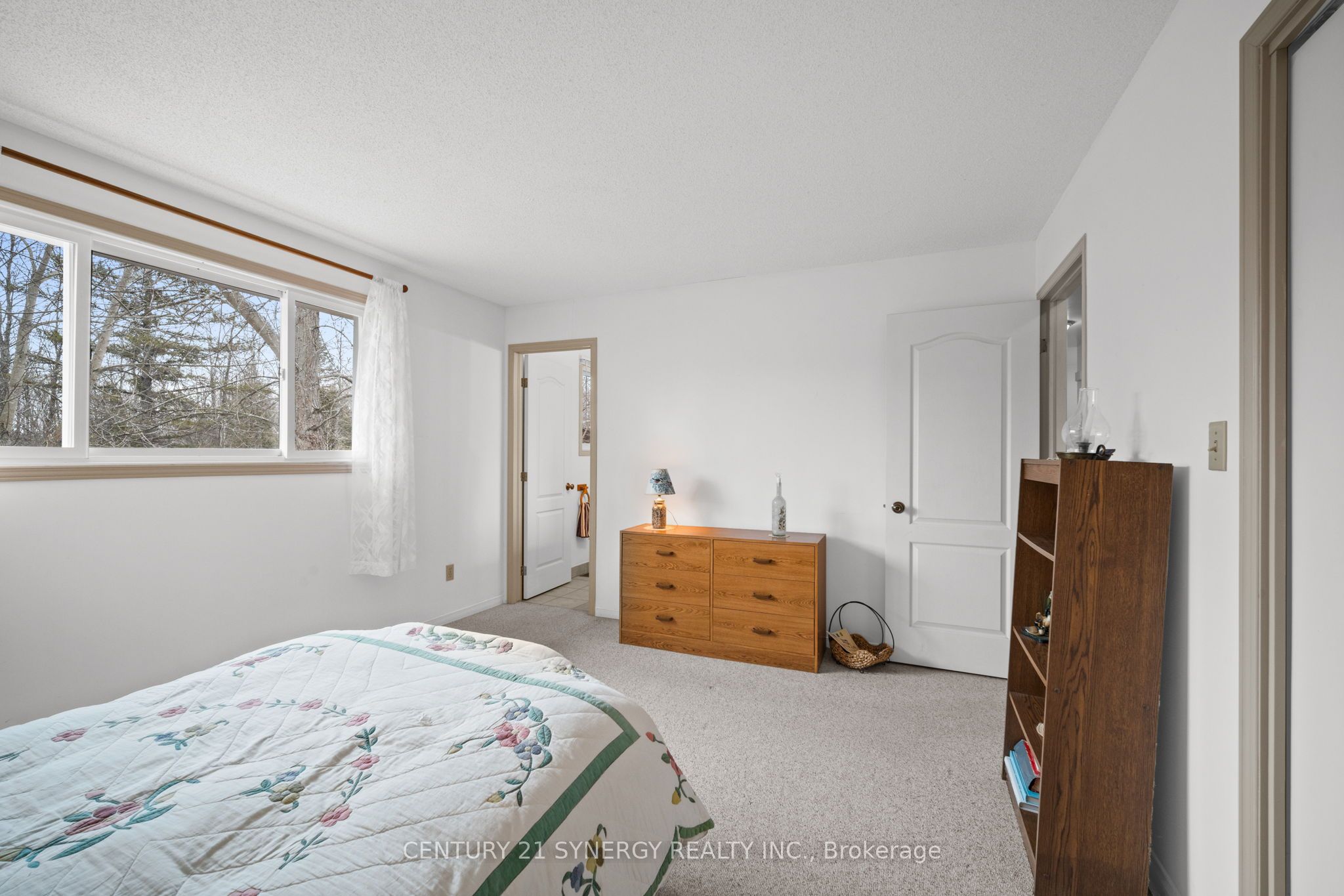 717 Townline Road Property Photo 19