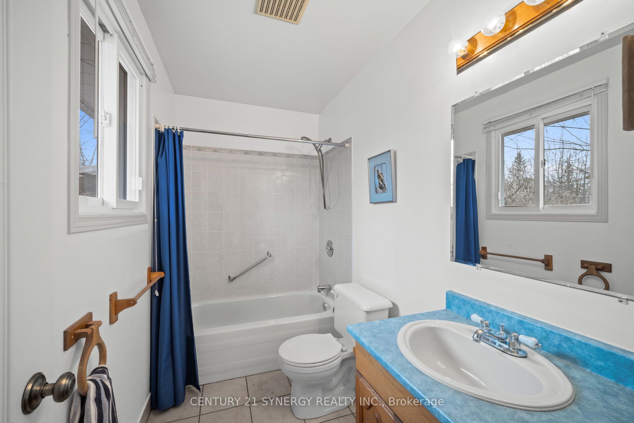 717 Townline Road Property Photo 20