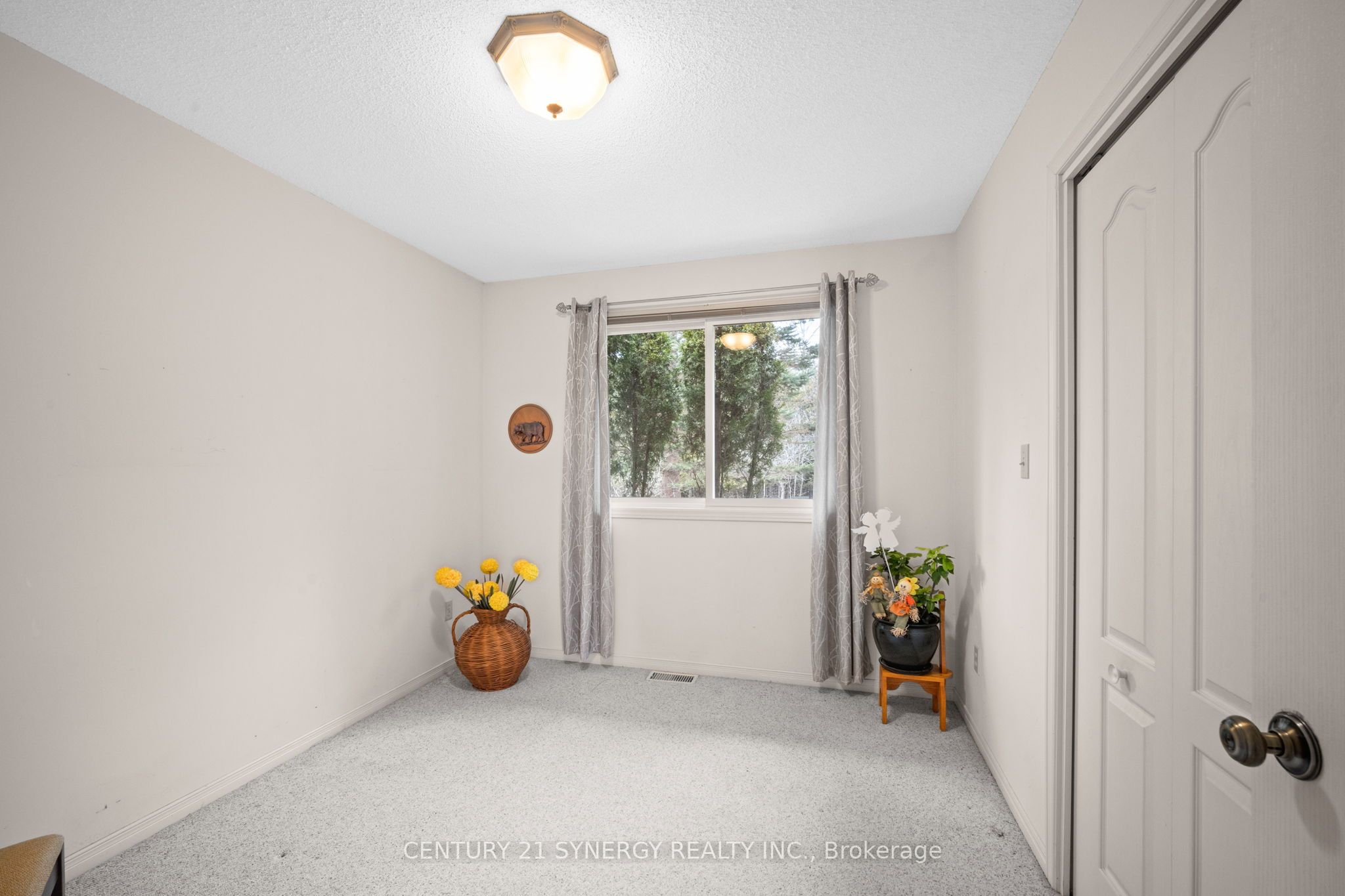 717 Townline Road Property Photo 21