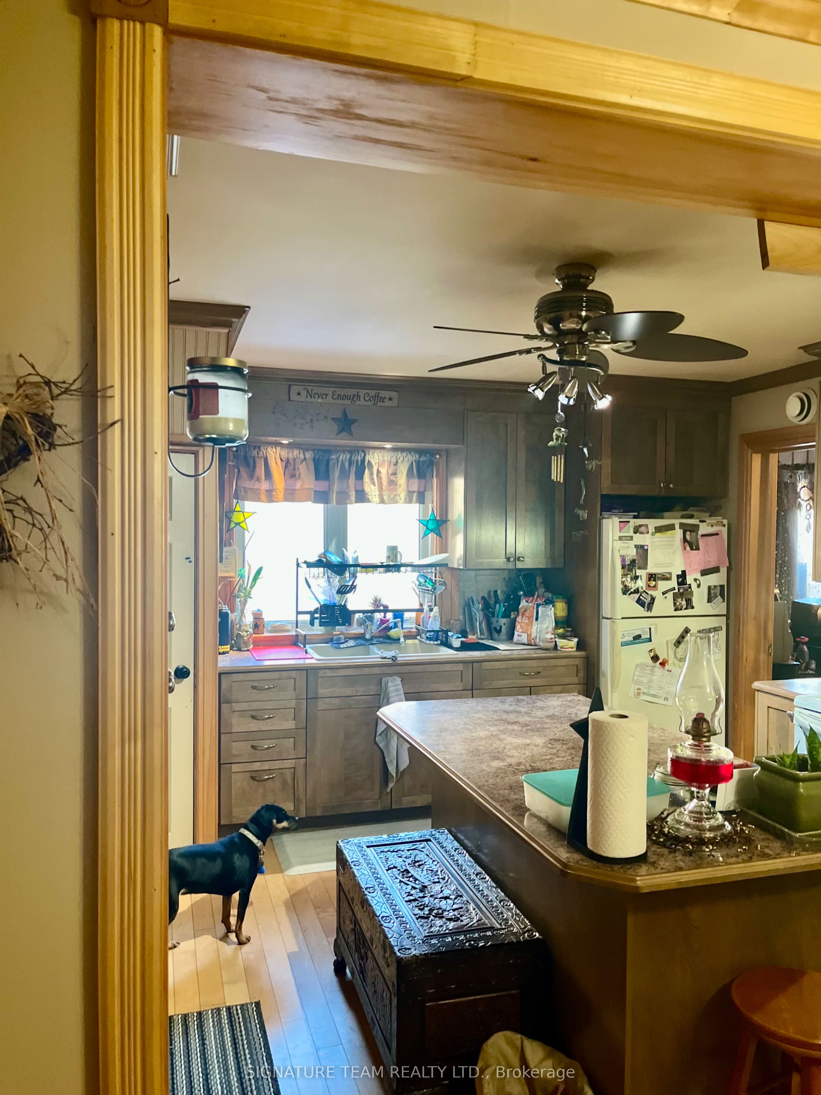 169 Bonnechere Street Property Photo 4