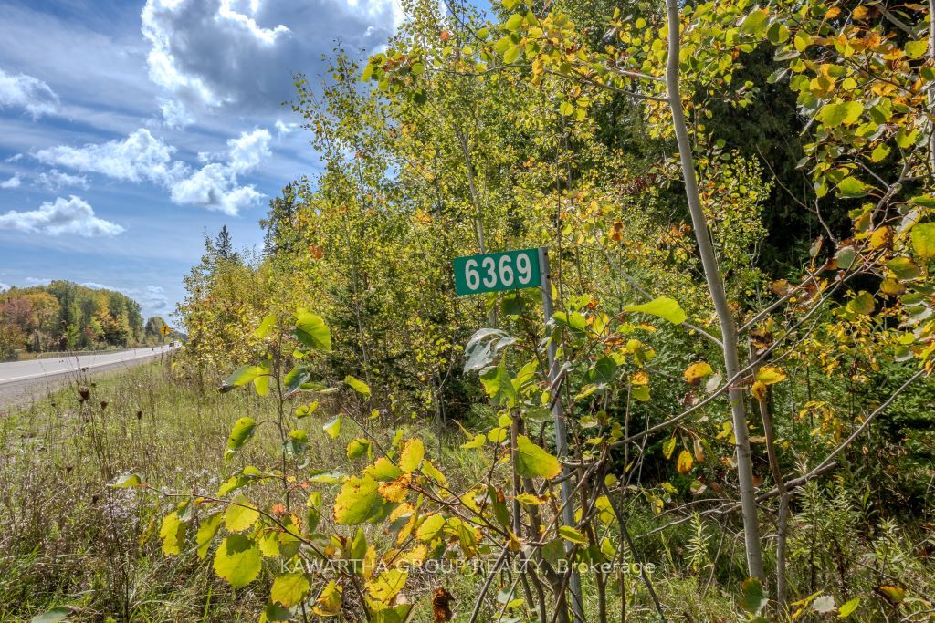 6369 Highway 35 Highway Property Photo 8