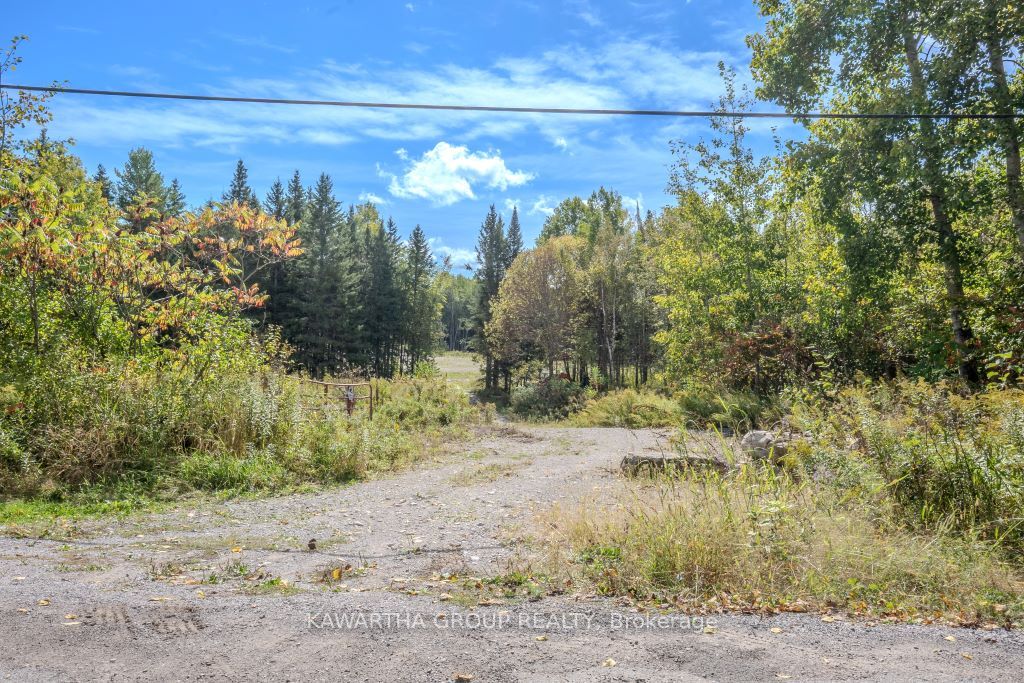 6369 Highway 35 Highway Property Photo 9