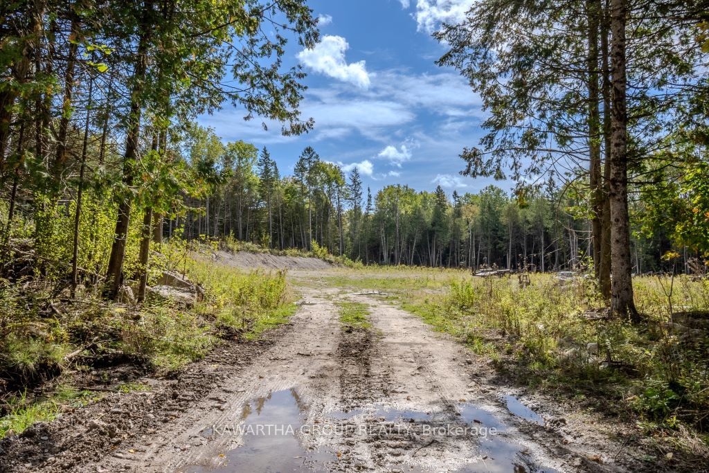 6369 Highway 35 Highway Property Photo 10