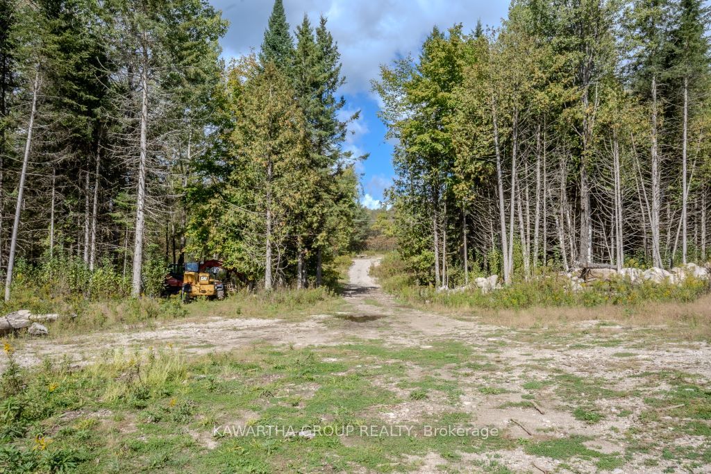 6369 Highway 35 Highway Property Photo 12