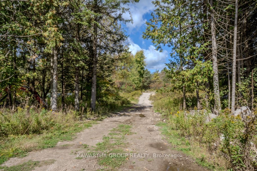 6369 Highway 35 Highway Property Photo 14