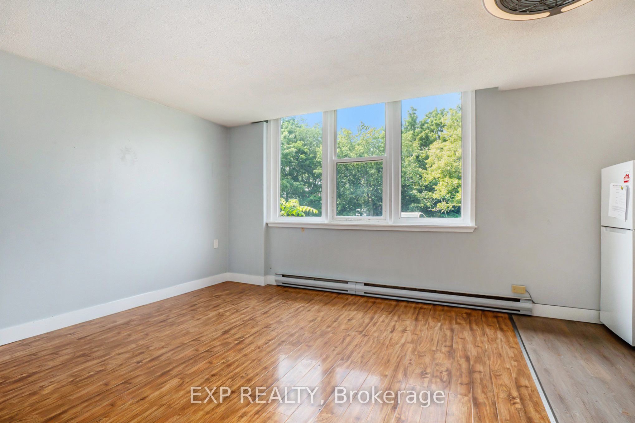 12 Garden Street Property Photo 6