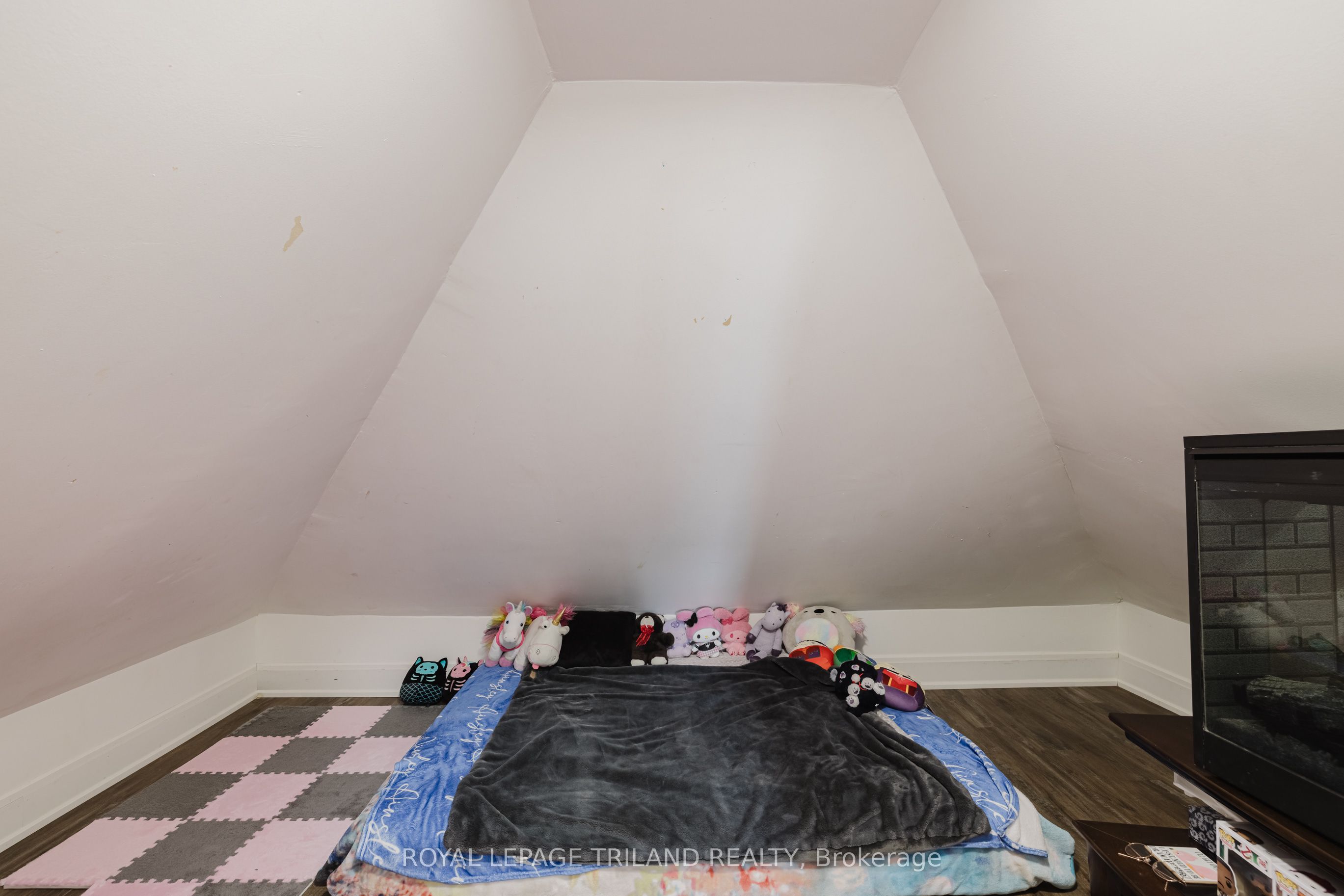 245 Sydenham Street Property Photo 18