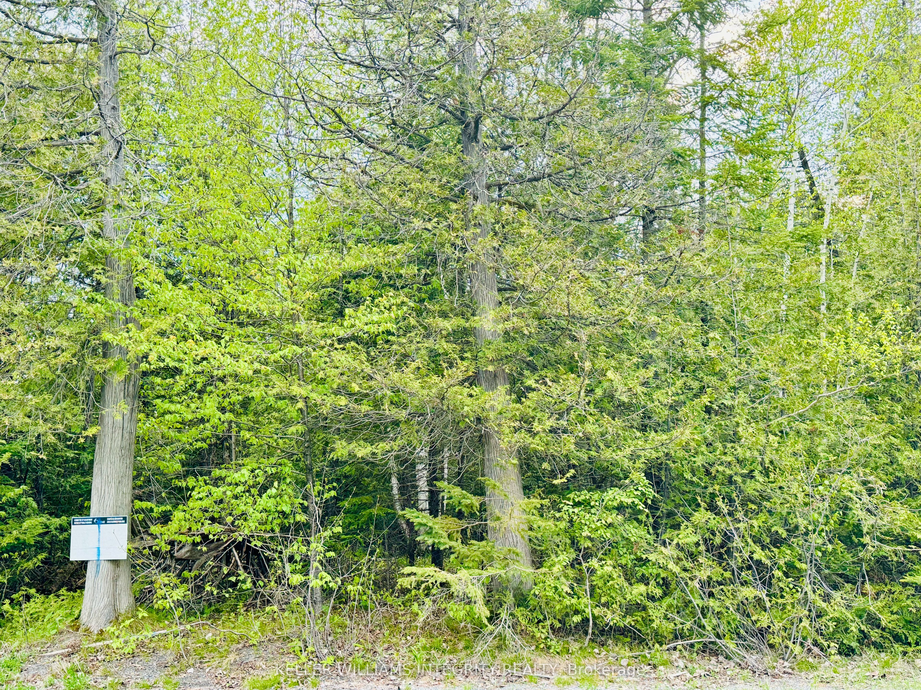 7110 Gallagher Road Property Photo