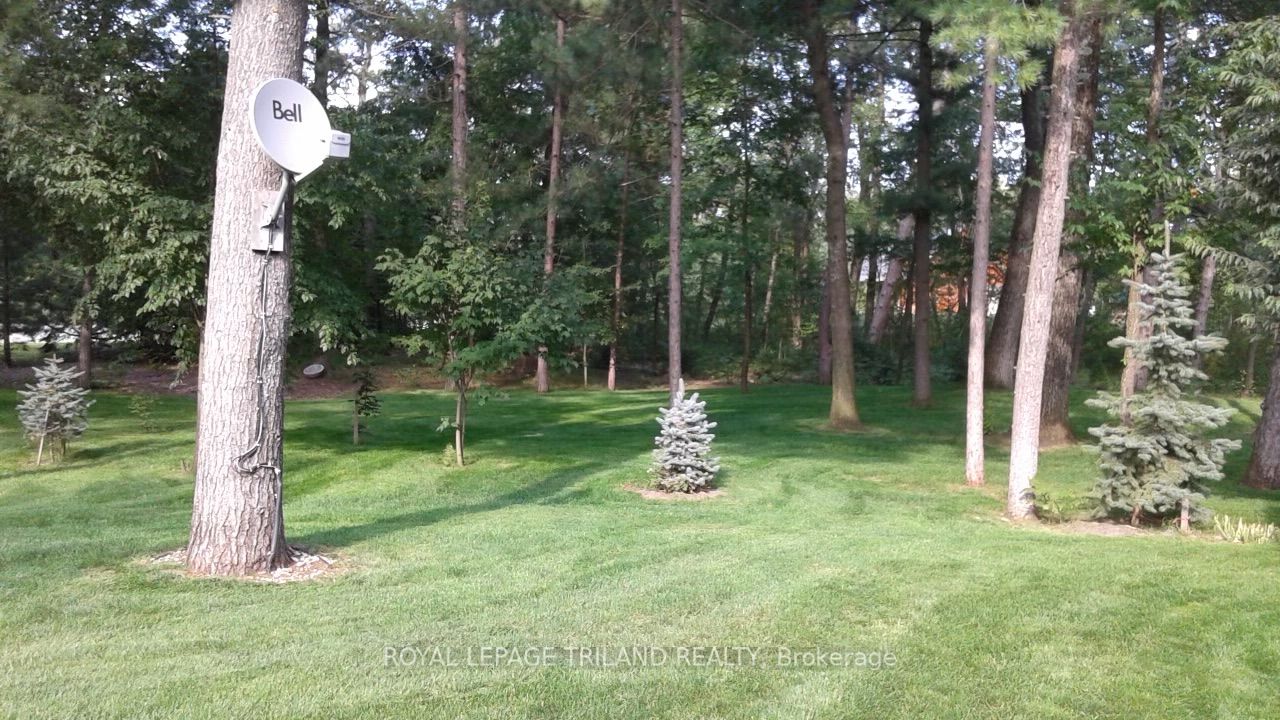 7785 Alfred Street Property Photo 1
