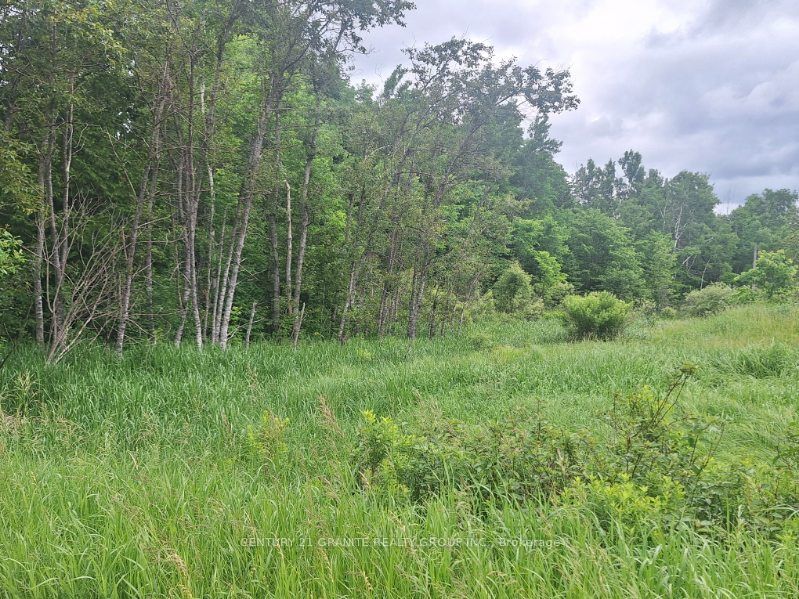0 Armstrong Line Property Photo 3