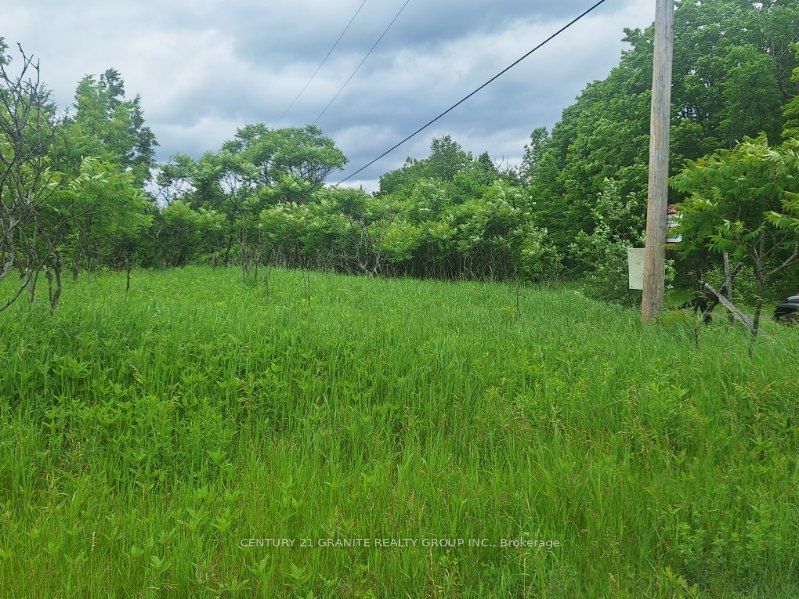 0 Armstrong Line Property Photo 6