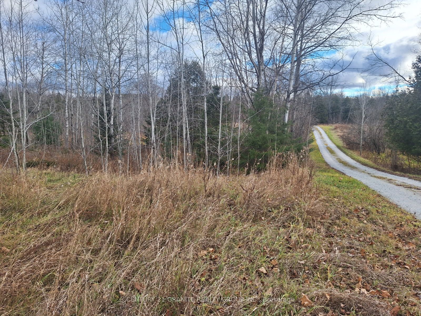0 Armstrong Line Property Photo 8