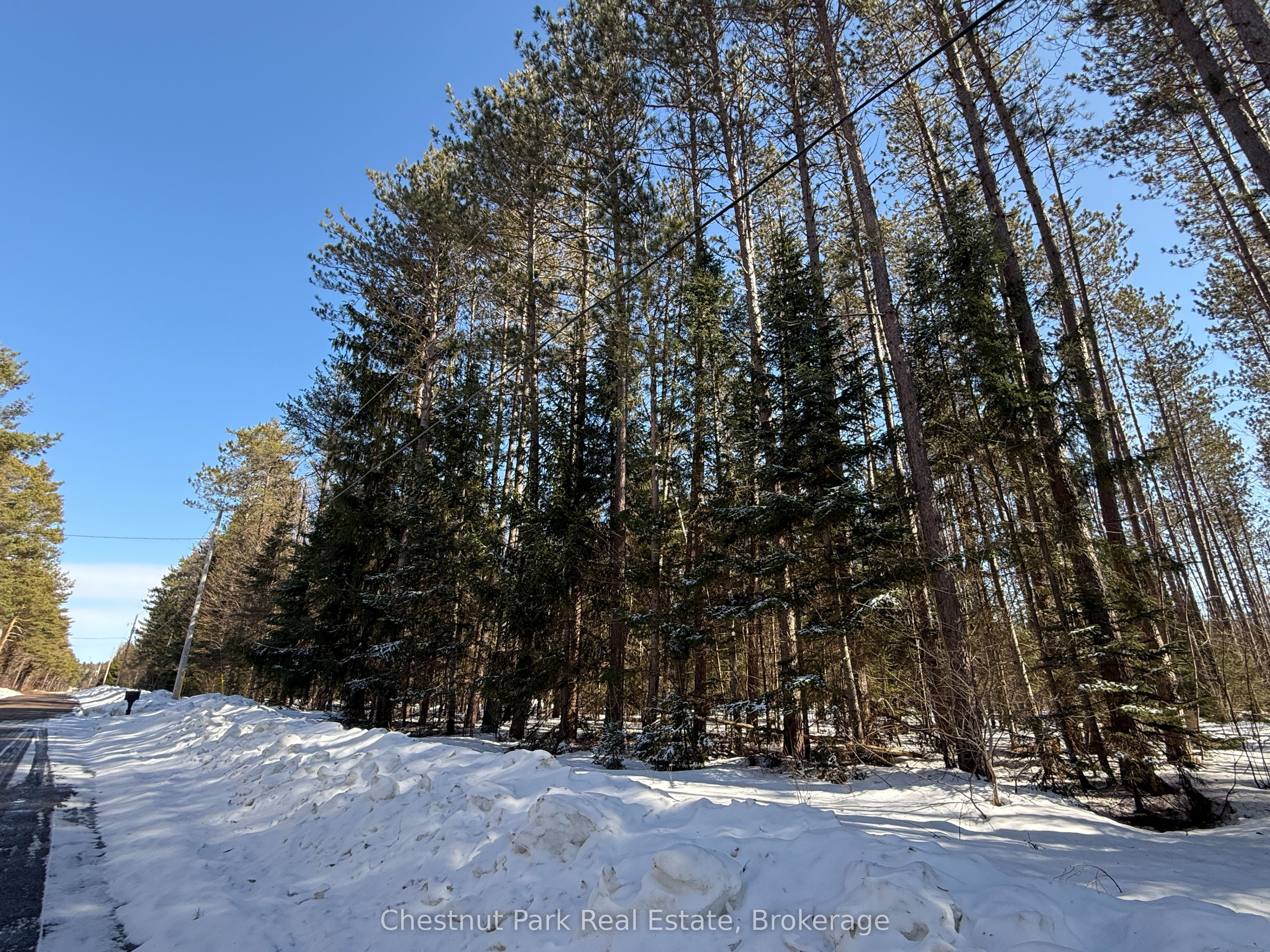 0 Cardwell Lake Road Property Photo 2