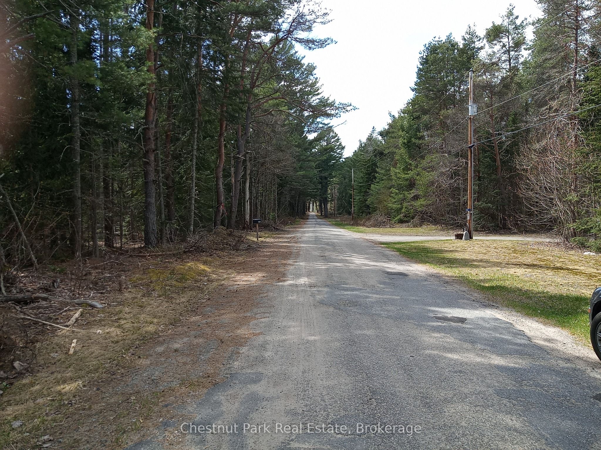 0 Cardwell Lake Road Property Photo 13
