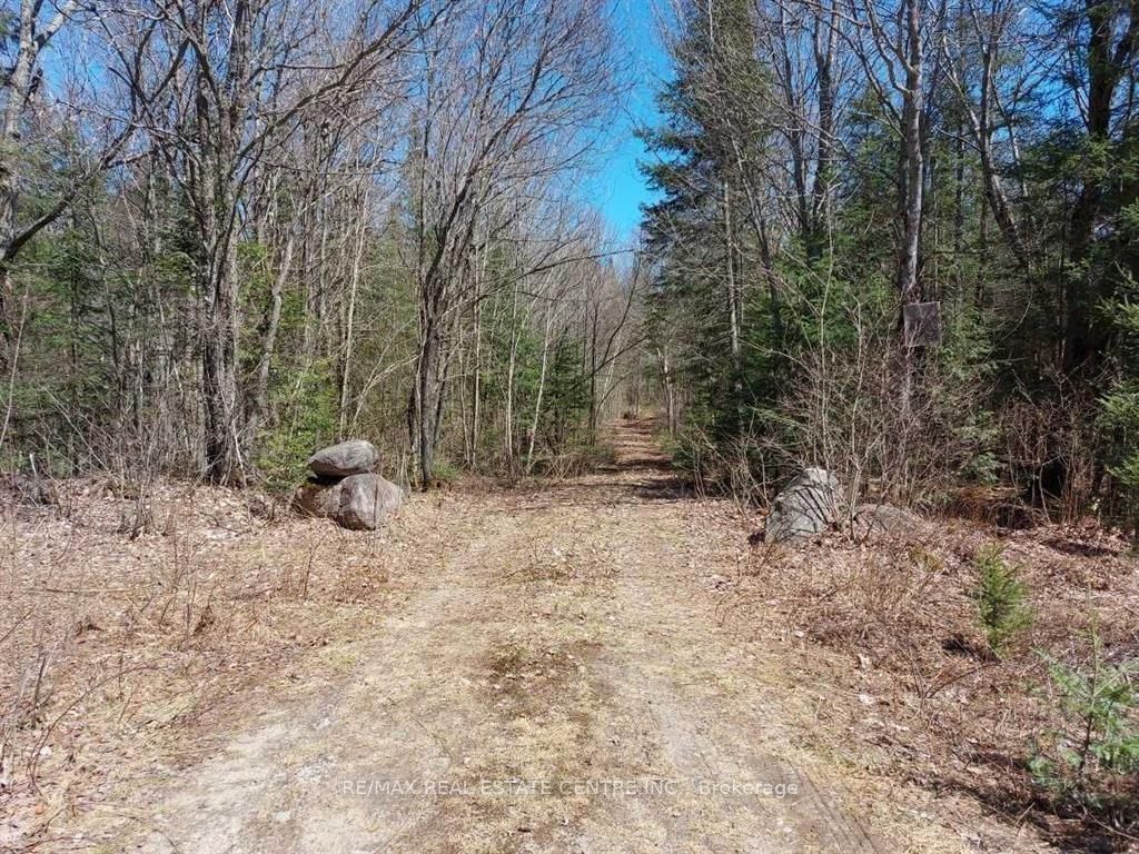 1759 Yearly Road Property Photo 4