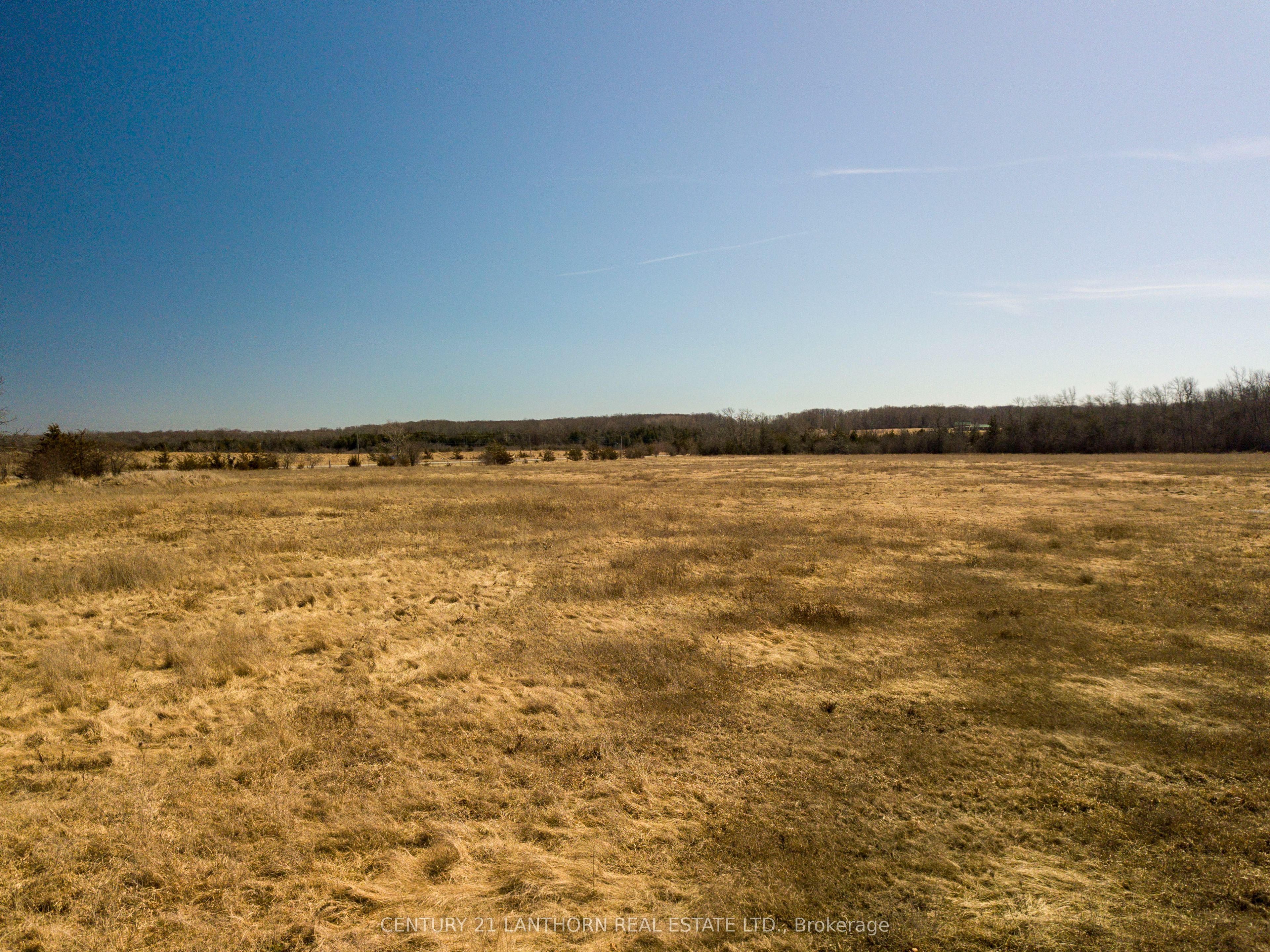 0 Loyalist Parkway Property Photo 8