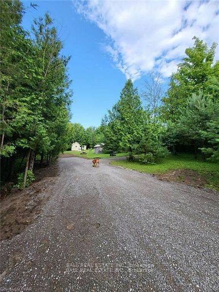 81 Silver Heights Drive Property Photo 5