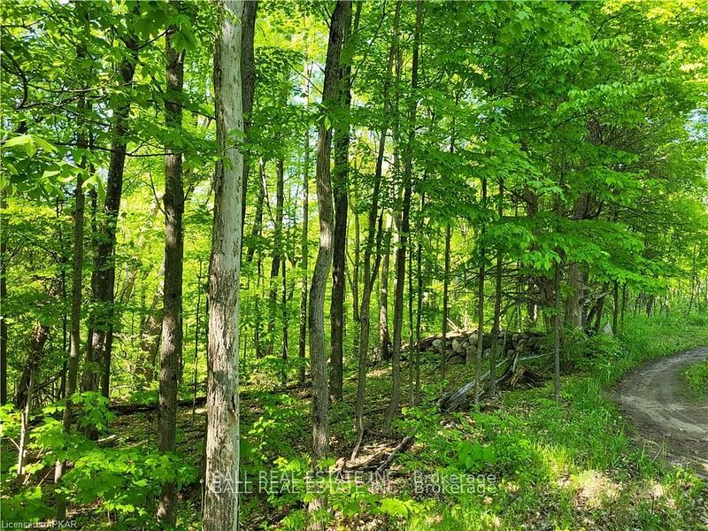 81 Silver Heights Drive Property Photo 19
